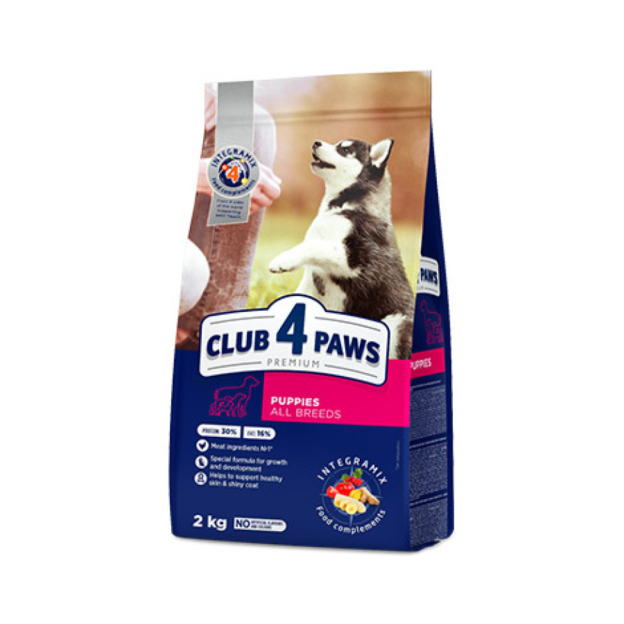 CLUB 4 PAWS PUPPY ALL BREED