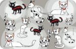 CAMON ΣΟΥΠΛΑ CATS 43x28cm