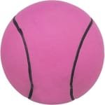 TRIXIE ΠΑΙΧΝΙΔΙ ΣΚΥΛΟΥ ΜΠΑΛΑ FOAM RUBBER 6cm